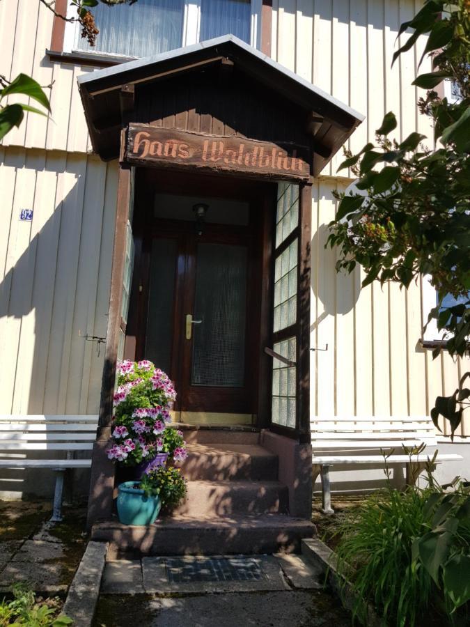 Hotel Haus Waldblick Hohegeiß Exteriér fotografie